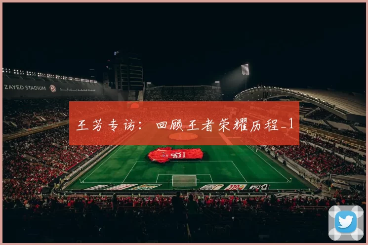 王芳专访：回顾王者荣耀历程_1
