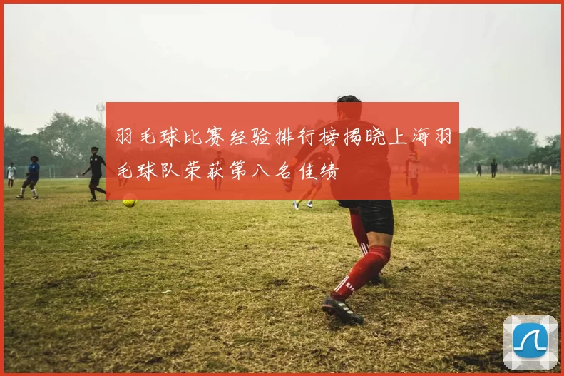 羽毛球比赛经验排行榜揭晓上海羽毛球队荣获第八名佳绩