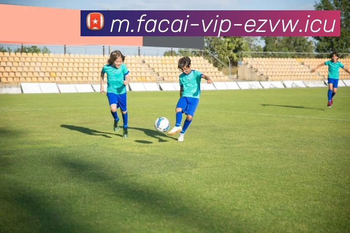 开云体育APP 封面图